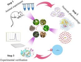 Lei Gong Gen Formula Granule Attenuates Hyperlipidemia In Rats Via Cgmp Pkg Signaling Pathway Journal Of Ethnopharmacology X Mol