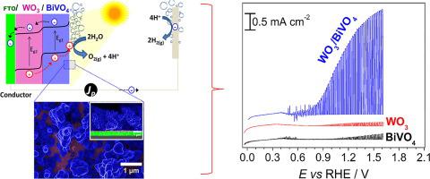 Bi Electrodeposition On Wo3 Photoanode To Improve The Photoactivity Of The Wo3 Bivo4 Heterostructure To Water Splitting Chemical Engineering Journal X Mol