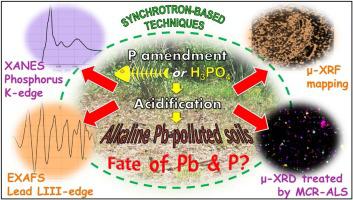 使用多种同步加速器技术测定经p修正并酸化的碱性pb污染土壤中铅 Pb 和磷 P 的命运 Journal Of Hazardous Materials X Mol