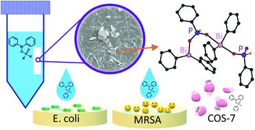 Impact Of Structural Changes In Heteroleptic Bismuth Phosphinates On Their Antibacterial Activity In Bi Nanocellulose Composites Dalton Transactions X Mol