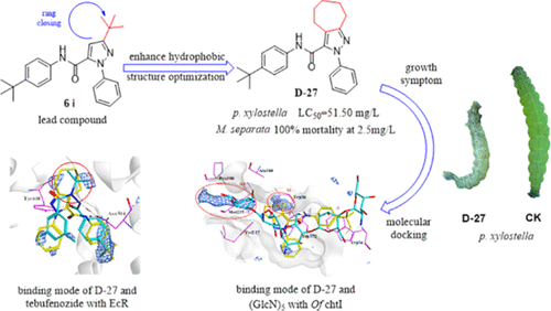 Design, Synthesis, And Biological Activity Of Novel Heptacyclic ...