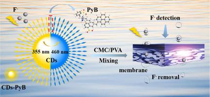 工程化包含碳点的比例式荧光传感器膜 以有效地检测和去除氟化物 Chemical Engineering Journal X Mol