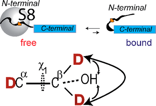 Dynamics Of Serine 8 Side Chain In Amyloid B Fibrils And Fluorenylmethyloxycarbonyl Serine Amino Acid Investigated By Solid State Deuteron Nmr The Journal Of Physical Chemistry B X Mol