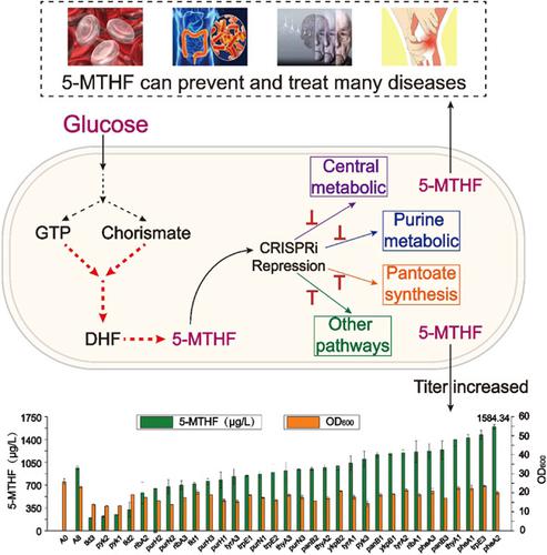 Systems Metabolic Engineering Of Bacillus Subtilis For Efficient ...