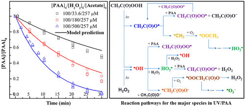 Modeling The Kinetics Of Uv Peracetic Acid Advanced Oxidation Process Environmental Science Technology X Mol