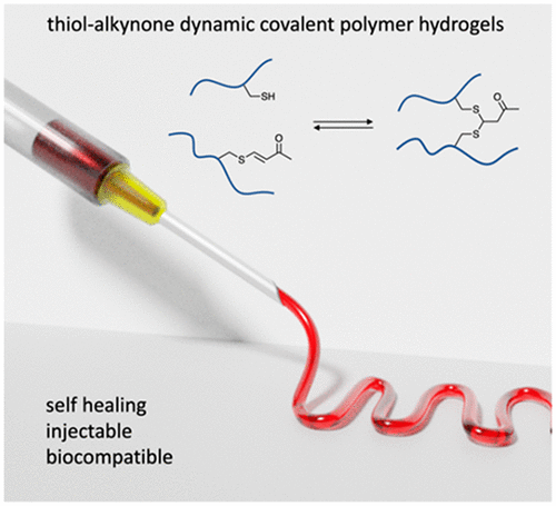 Self-Healing Injectable Polymer Hydrogel Via Dynamic Thiol-Alkynone ...