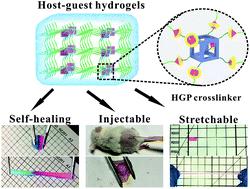 A Super-stretchable, Self-healing And Injectable Supramolecular ...