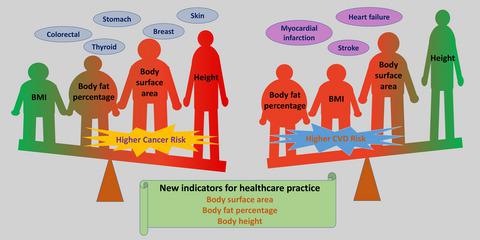Body Surface Area Height And Body Fat Percentage As More