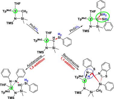 Modification Of Yttrium Silyl Bridged Amide Alkyl Complexes Through Si H C H Cross Dehydrocoupling Of Silanes With A Silylamino Ligand Synthesis Reactivity And Mechanism Chemistry A European Journal X Mol