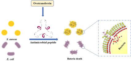 Identification And Antimicrobial Mechanisms Of A Novel Peptide Derived ...