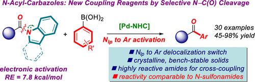 N Acylcarbazoles And N Acylindoles Electronically Activated Amides For N C O Cross Coupling By Nlp To Ar Conjugation Switch Organic Letters X Mol