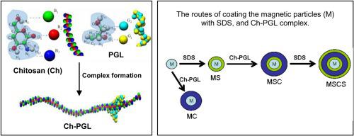 Chitosan Polyglycidol Complexes To Coating Iron Oxide Particles For Dye Adsorption Carbohydrate Polymers X Mol