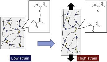 Polybutadiene Rubbers With Urethane Linkages Prepared By A Dynamic ...