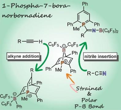 A Phosphinine Derived 1 Phospha 7 Bora Norbornadiene Frustrated Lewis Pair Type Activation Of Triple Bonds Chemistry A European Journal X Mol