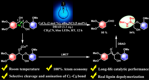 CeCl3-Promoted Simultaneous Photocatalytic Cleavage And Amination Of Cα ...