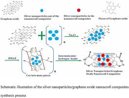 Silver Nanoparticles/graphene Oxide Nanoscroll Composites Synthesized ...