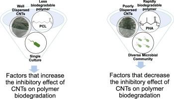 Influence Of Polymer Type And Carbon Nanotube Properties On Carbon Nanotube Polymer Nanocomposite Biodegradation Science Of The Total Environment X Mol