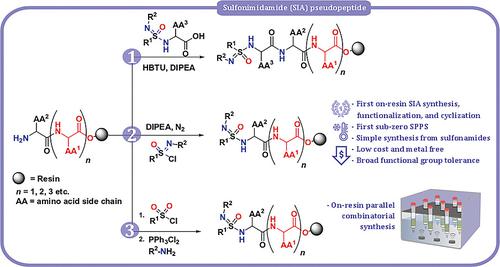 Solid Phase Synthesis of Sulfonimidamide Pseudopeptides and