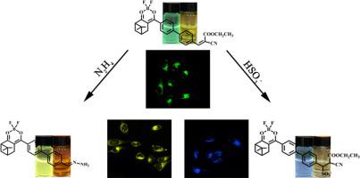 A Novel Dual-response Fluorescent Probe Based On Nopinone For ...