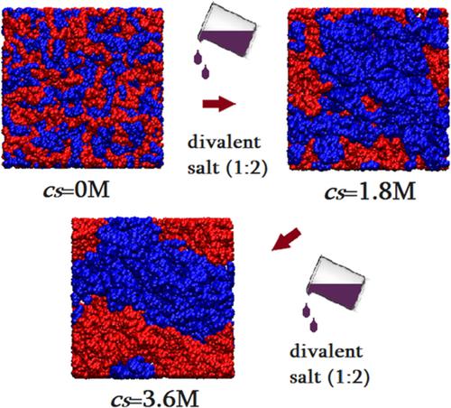 mixed-brushes-consisting-of-oppositely-charged-y-shaped-polymers-in