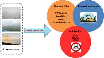 Precursors Of Typical Nitrogenous Disinfection Byproducts Characteristics Removal And Toxicity Formation Potential Science Of The Total Environment X Mol