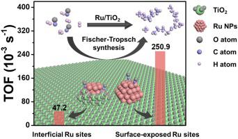 Dopamine Sacrificial Coating Strategy Driving Formation Of Highly ...