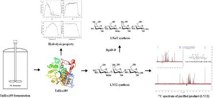 Efficient Sequential Synthesis Of Lacto N Triose Ii And Lacto N Neotetraose By A Novel B N Acetylhexosaminidase From Tyzzerella Nexilis Food Chemistry X Mol