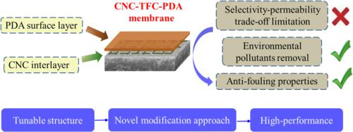 High Performance Nanofiltration Membranes With A Sandwiched Layer And A Surface Layer For Desalination And Environmental Pollutant Removal Science Of The Total Environment X Mol