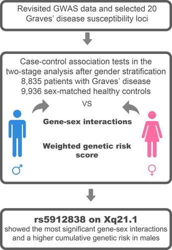 Candidate Gene Associations Reveal Sex Specific Graves Disease Risk Alleles Among Chinese Han 4546