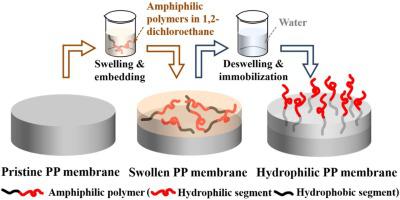 Enhancing Membrane Surface Antifouling By Implanting Amphiphilic ...