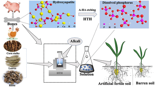 Sustainable Leaching Process Of Phosphates From Animal Bones To ...