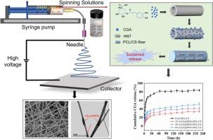 Electrospun Chitosan Polycaprolactone Nanofibers Containing Chlorogenic Acid Loaded Halloysite Nanotube For Active Food Packaging Carbohydrate Polymers X Mol