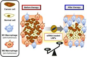 Manipulating The Function Of Tumor Associated Macrophages By Sirna Loaded Lipid Nanoparticles For Cancer Immunotherapy Journal Of Controlled Release X Mol