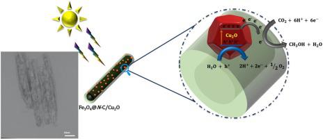 Visible Light Assisted Photocatalytic Reduction Of CO2 To Methanol ...