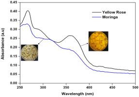 用于染料敏化太阳能电池的花黄素基天然染料的光吸收研究 实验和理论研究 Materials Letters X Mol