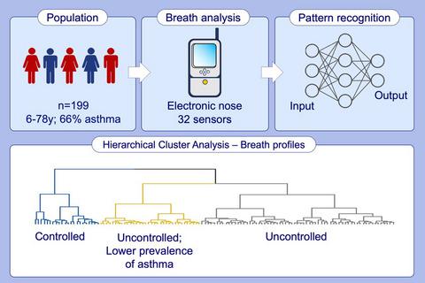 Human Volatilome Analysis Using ENose To Assess Uncontrolled Asthma In ...