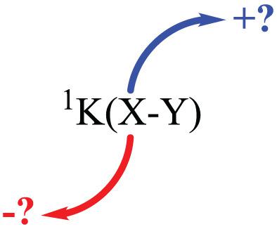 Calculated Coupling Constants 1 J X Y And 1 K X Y And Fundamental Relationships Among The Reduced Coupling Constants For Molecules Hm X Yhn With X Y 1 H 7 Li 9 Be 11
