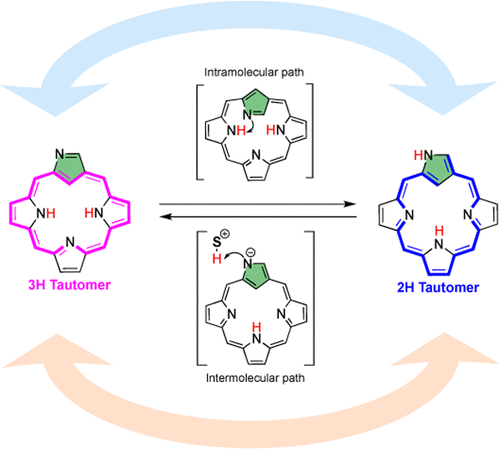 Nh Tautomerism Of N Confused Porphyrin Solvent Substituent Effects And Isomerization Mechanism The Journal Of Physical Chemistry A X Mol