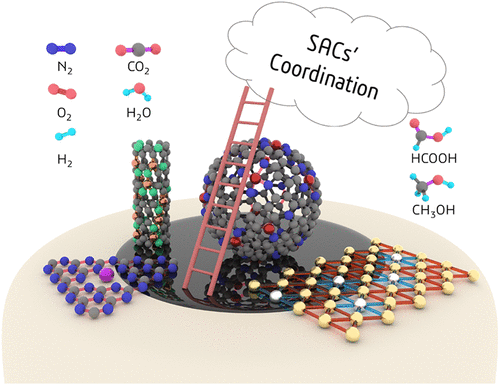 Electrocatalysis Of Single-Atom Sites: Impacts Of Atomic Coordination ...