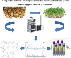 Comparative Metabolite Profiling And Antioxidant Potentials Of Seeds And Sprouts Of Three Egyptian Cultivars Of Vicia Faba L Food Research International X Mol