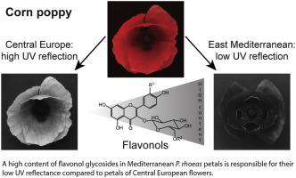 高度不同的黄酮醇含量解释了罂粟花的紫外线反射特性的地理差异 罂粟科 Papaveraceae Phytochemistry X Mol