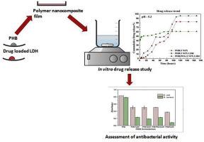 Sustained Drug Release And Bactericidal Activity Of A Novel Highly Biocompatible And Biodegradable Polymer Nanocomposite Loaded With Norfloxacin For Potential Use In Antibacterial Therapy Journal Of Drug Delivery Science And Technology X Mol