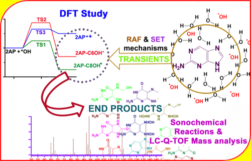 Insights Into The Mechanism Of Hydroxyl Radical Mediated Oxidations Of 2 Aminopurine A Computational And Sonochemical Product Analysis Study The Journal Of Physical Chemistry B X Mol