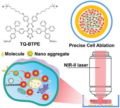 NIR‐II Light Activated Photosensitizer With Aggregation‐Induced ...