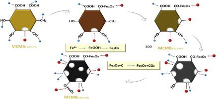 The Relationship Of Structure And Organic Matter Adsorption Characteristics By Magnetic Cattle Manure Biochar Prepared At Different Pyrolysis Temperatures Journal Of Environmental Chemical Engineering X Mol