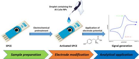 A Sensitive Electrochemical Sensor Based On Aluminium Doped Copper Selenide Nanoparticles Modified Screen Printed Carbon Electrode For Determination Of L Tyrosine In Pharmaceutical Samples Journal Of Electroanalytical Chemistry X Mol