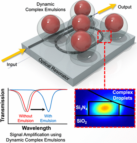 Dynamic Complex Emulsions As Amplifiers For On-Chip Photonic Cavity ...