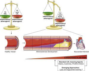 Lipoproteins And Lipids In Cardiovascular Disease: From Mechanistic ...