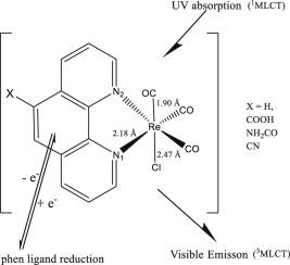Design Synthesis And Photophysical Properties Of Re I Tricarbonyl 1 10 Phenanthroline Complexes Journal Of Molecular Structure X Mol