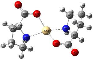 使用振动光谱和量子化学计算合成和表征cd L 脯氨酸 2 配合物 Journal Of Molecular Structure X Mol